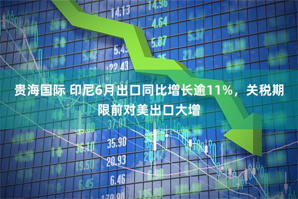 貴海國際 印尼6月出口同比增長逾11%，關稅期限前對美出口大增
