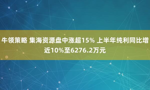 牛領(lǐng)策略 集海資源盤中漲超15% 上半年純利同比增近10%至6276.2萬元