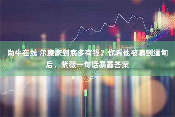 尚牛在線 爾康家到底多有錢(qián)？你看他被騙到緬甸后，紫薇一句話暴露答案